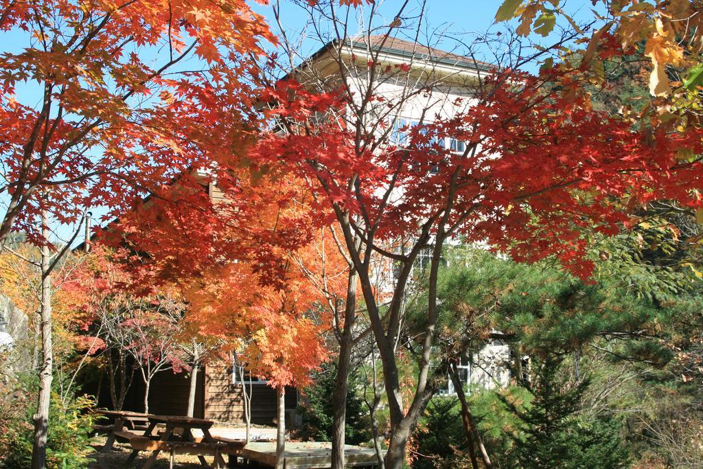 Mir Pension Gapyeong Extérieur photo