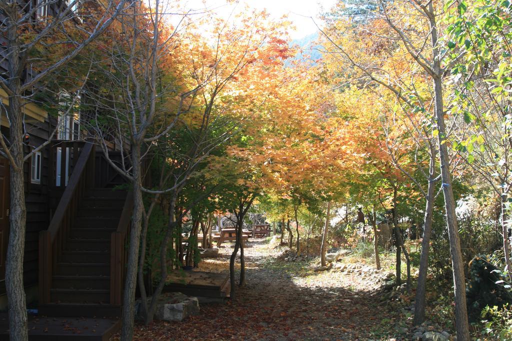 Mir Pension Gapyeong Extérieur photo
