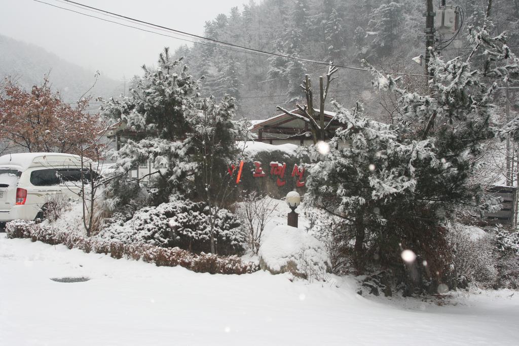 Mir Pension Gapyeong Extérieur photo