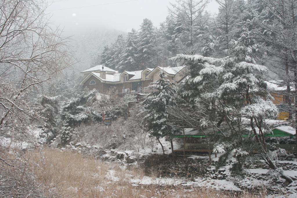 Mir Pension Gapyeong Extérieur photo