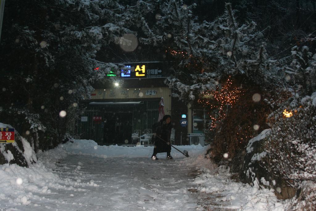 Mir Pension Gapyeong Extérieur photo