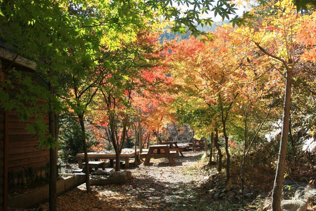 Mir Pension Gapyeong Extérieur photo